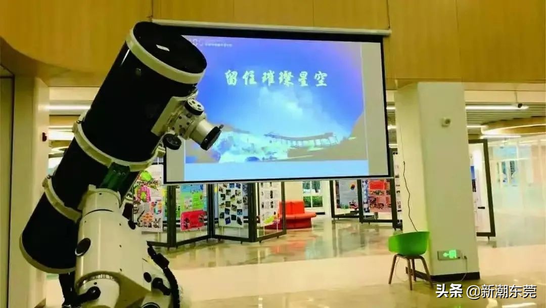 东莞外国语高中黑马,东莞黑马学校