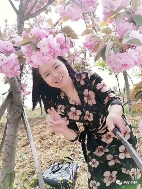 西蜀茶庄作品,西蜀茶庄君子兰