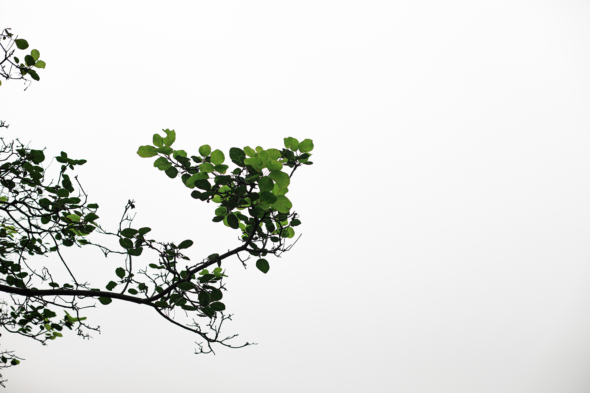 京郊房山登山路线,房山东港登山步道