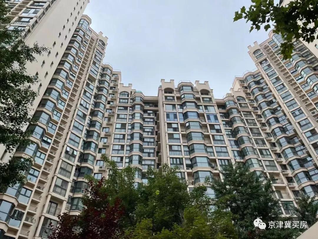 朝青2018年价格,朝青价格走势