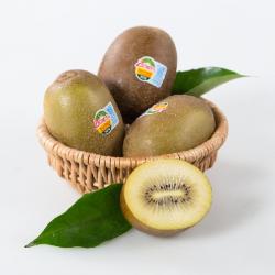 奇异果干的功效与作用及禁忌,新西兰黄金奇异果的禁忌