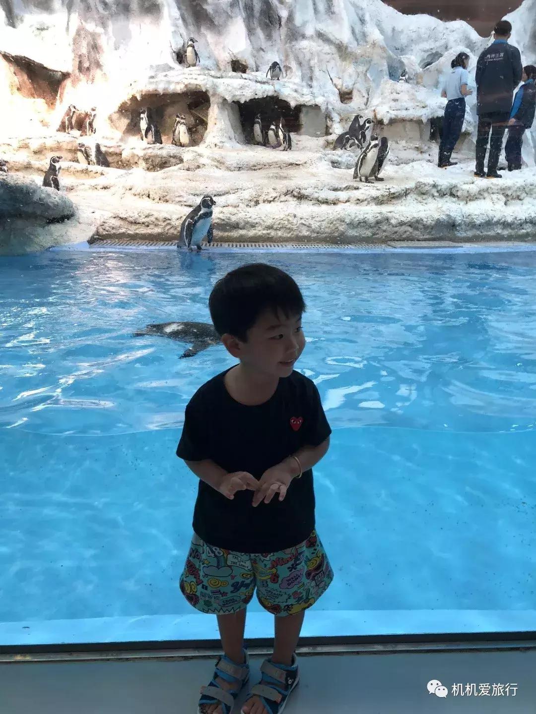 珠海和广州长隆旅游攻略,珠海长隆乐园游玩攻略