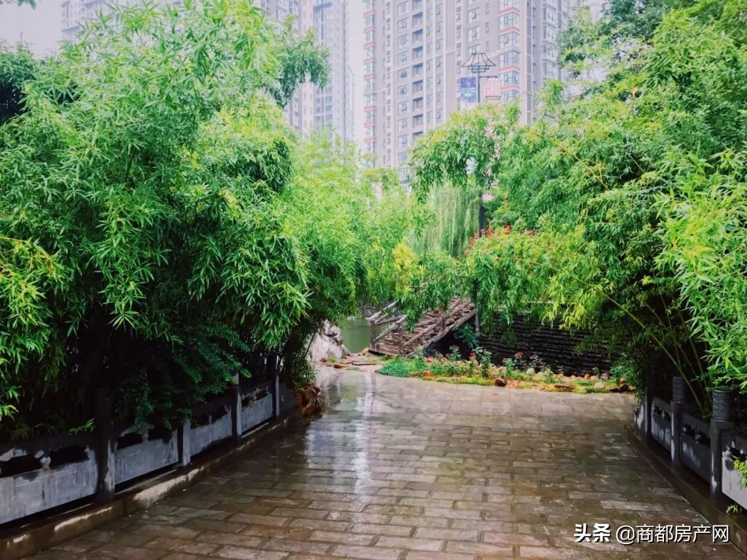 看过“上街北龙湖”，才能理解什么是“亚星的上街”