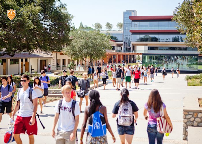 非诚勿扰36岁女嘉宾大学教授,非诚勿扰加州理工