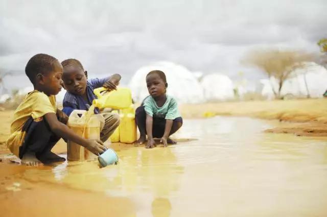 设计师在非洲做了个花篮，用来向天空借水