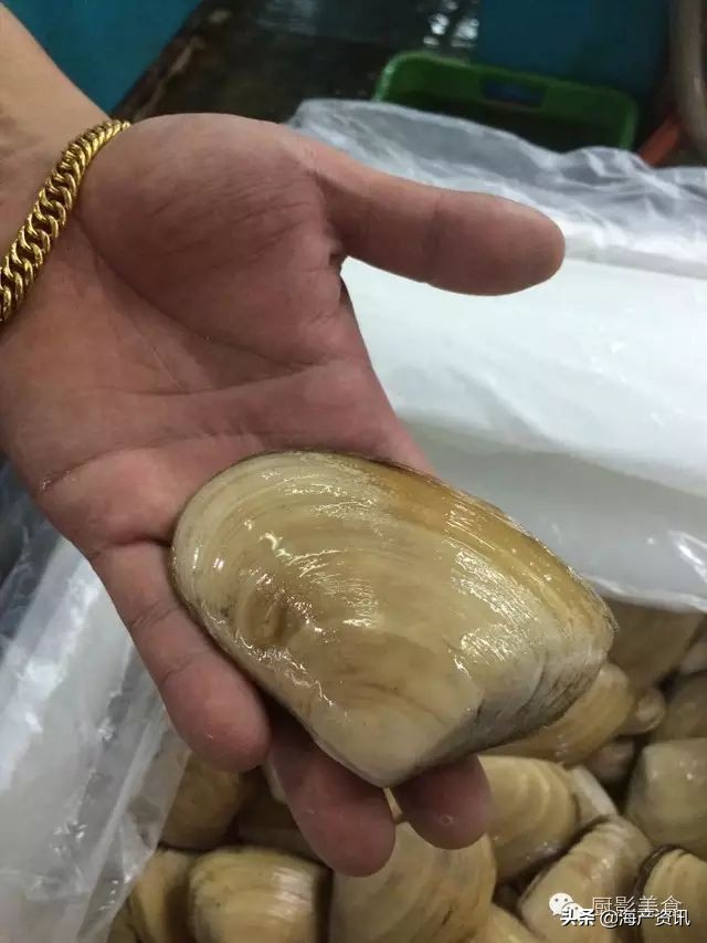 这些诱人的美食你吃过吗,世界上顶级海鲜大全你吃过几种