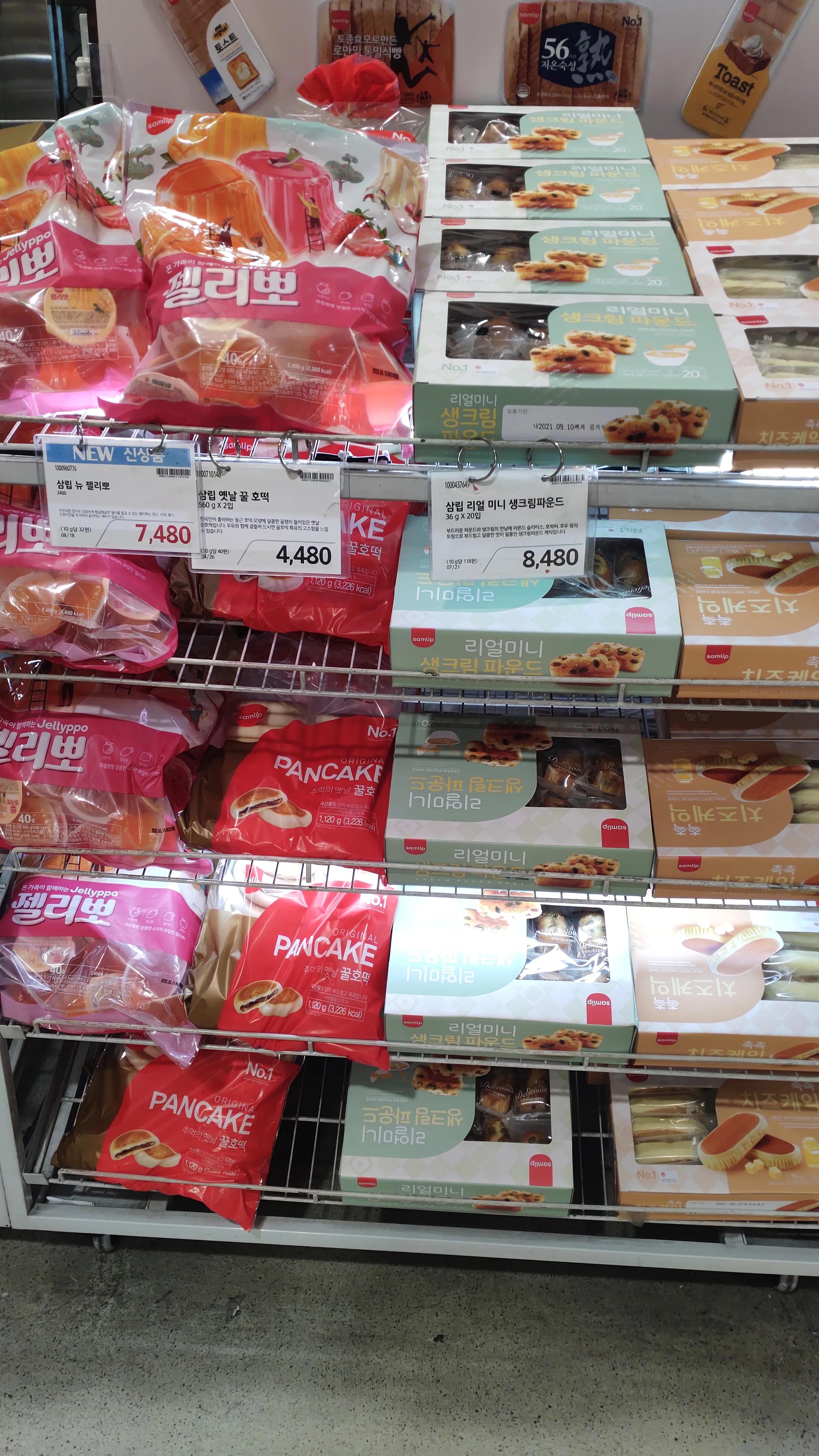 首尔layered咖啡,首尔很多萨摩耶的地方