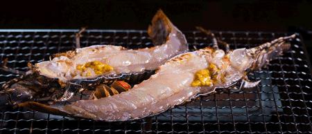 渔家女揭露海鲜市场黑幕,渔家女海鲜视频