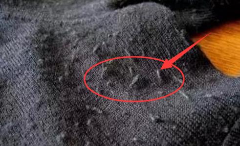 针织衫为啥喜欢起球,针织衫会起球什么原因