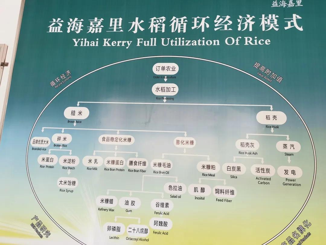 走向我们的小康生活非遗篇,走向我们的小康生活科普