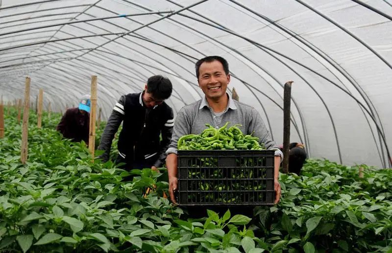 双汇发展新闻最新消息,双汇集团最新资讯