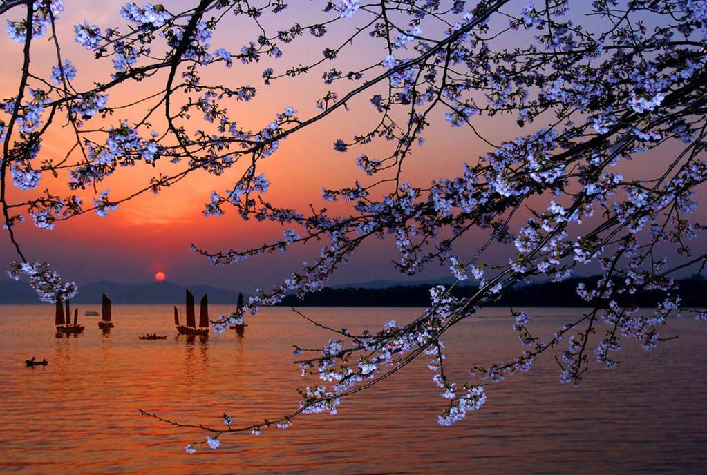 苏州西山红叶最佳观赏期,苏州西山小众打卡地