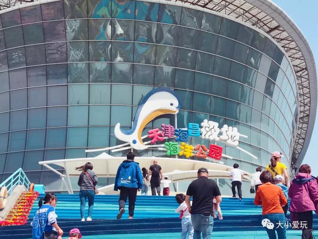 开放首日实探国家海洋博物馆，史上最抢手博物馆究竟长什么样
