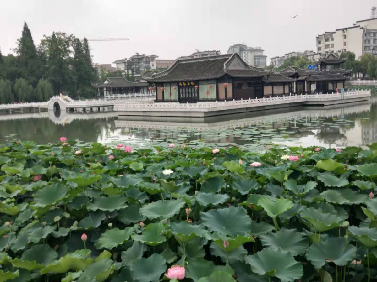 扬州终于有了烟火气了,扬州终于吃成了美食之都