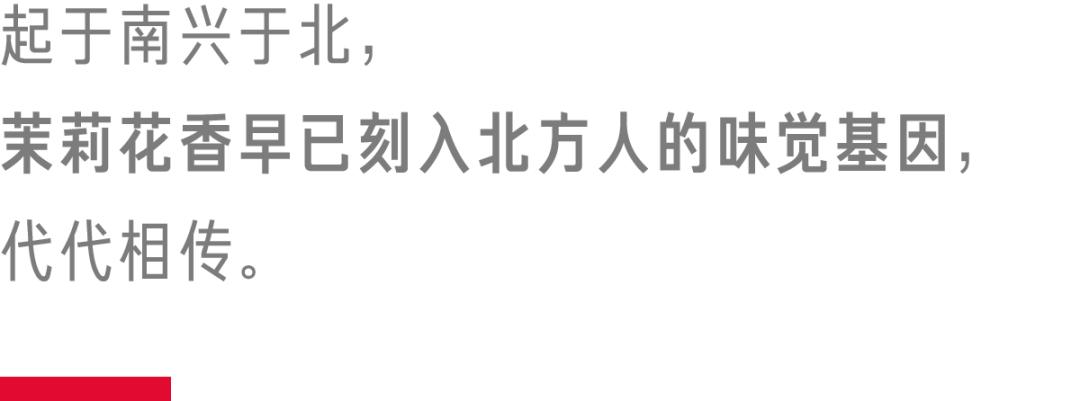 好一朵南方的茉莉花,攻城略地占据北方民间饮茶高地