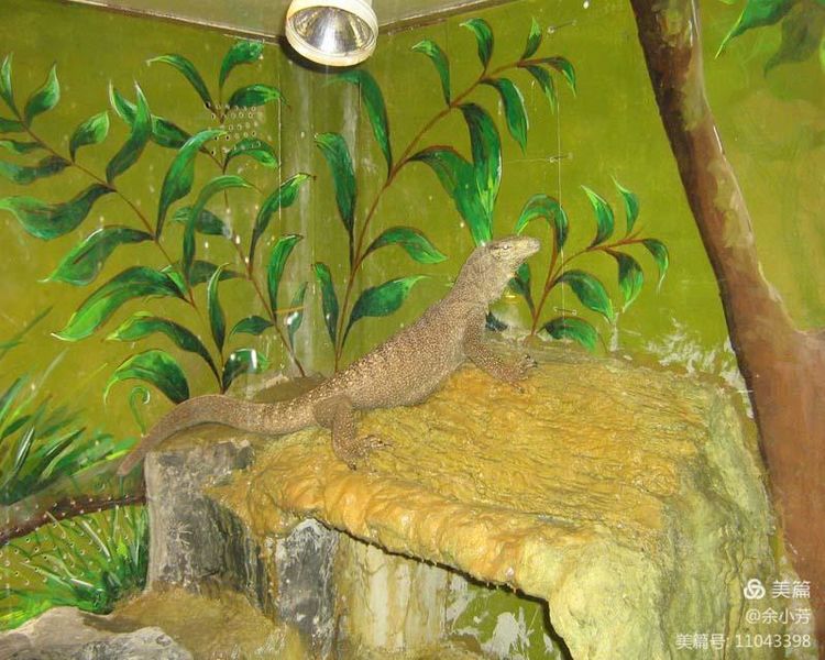 上海野生昆虫馆,上海昆虫馆门票多少