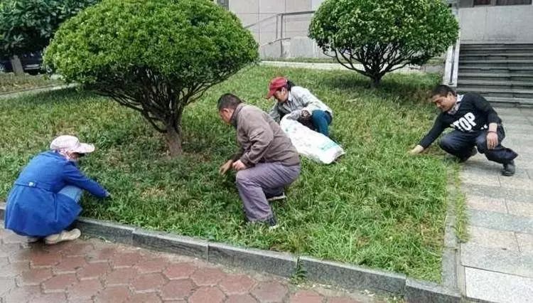 战高温斗酷暑坚守一线工地,战高温斗酷暑坚守一线照片