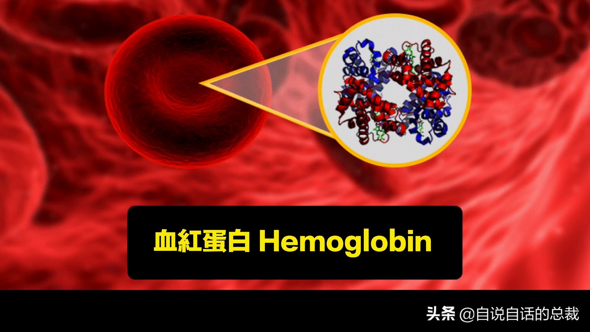 蛤、蚶、蛏、蚝、蚬有什么区别？这是一群美味海怪与人类的故事