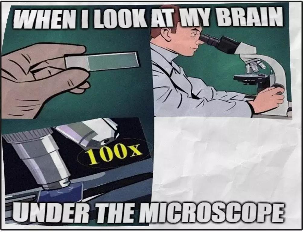 跳蚤在显微镜下长什么样,把显微镜放大40亿倍