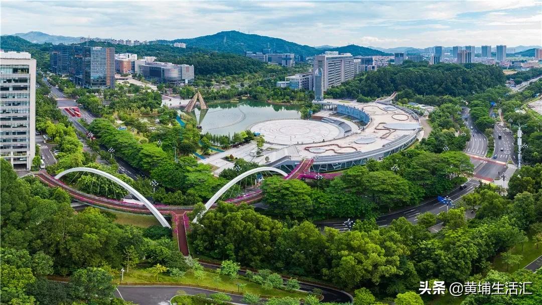 黄埔科学城核心区,黄埔香雪和番禺万博