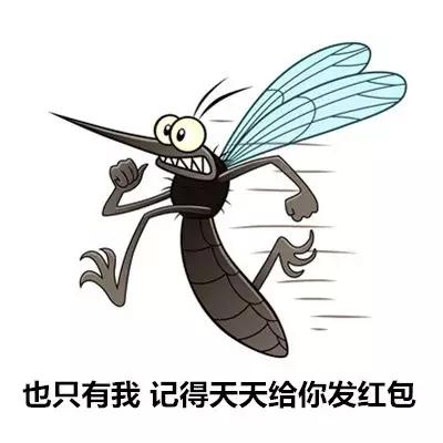 被蚊虫叮咬怎样情况下要就医,如何有效治疗虫叮咬