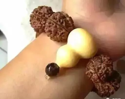 文玩葫芦龙头生虫怎么办,文玩葫芦如何避免损坏龙头