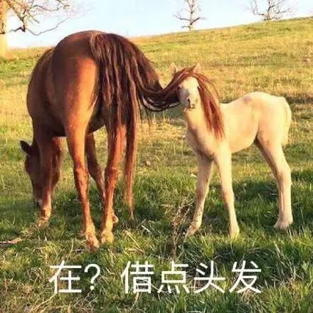 美团外卖的佣金是谁出的,美团外卖佣金都是提到哪里