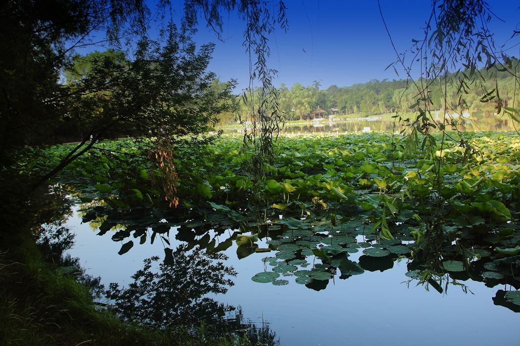 八字日主为癸水的特性是什么样的,庚辛金壬癸水各月取喜用神