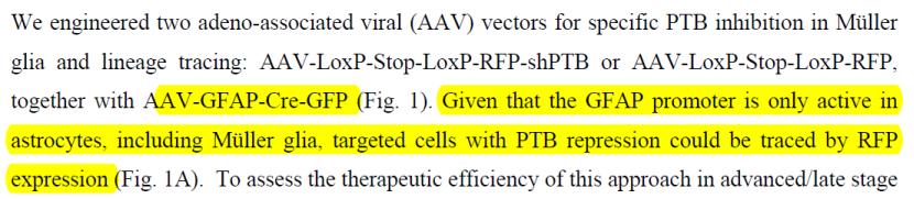 杨辉指付向东讲的与发表的不同