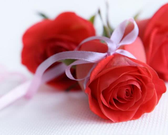 五月有什么打折的节,五月有什么节日或者纪念日