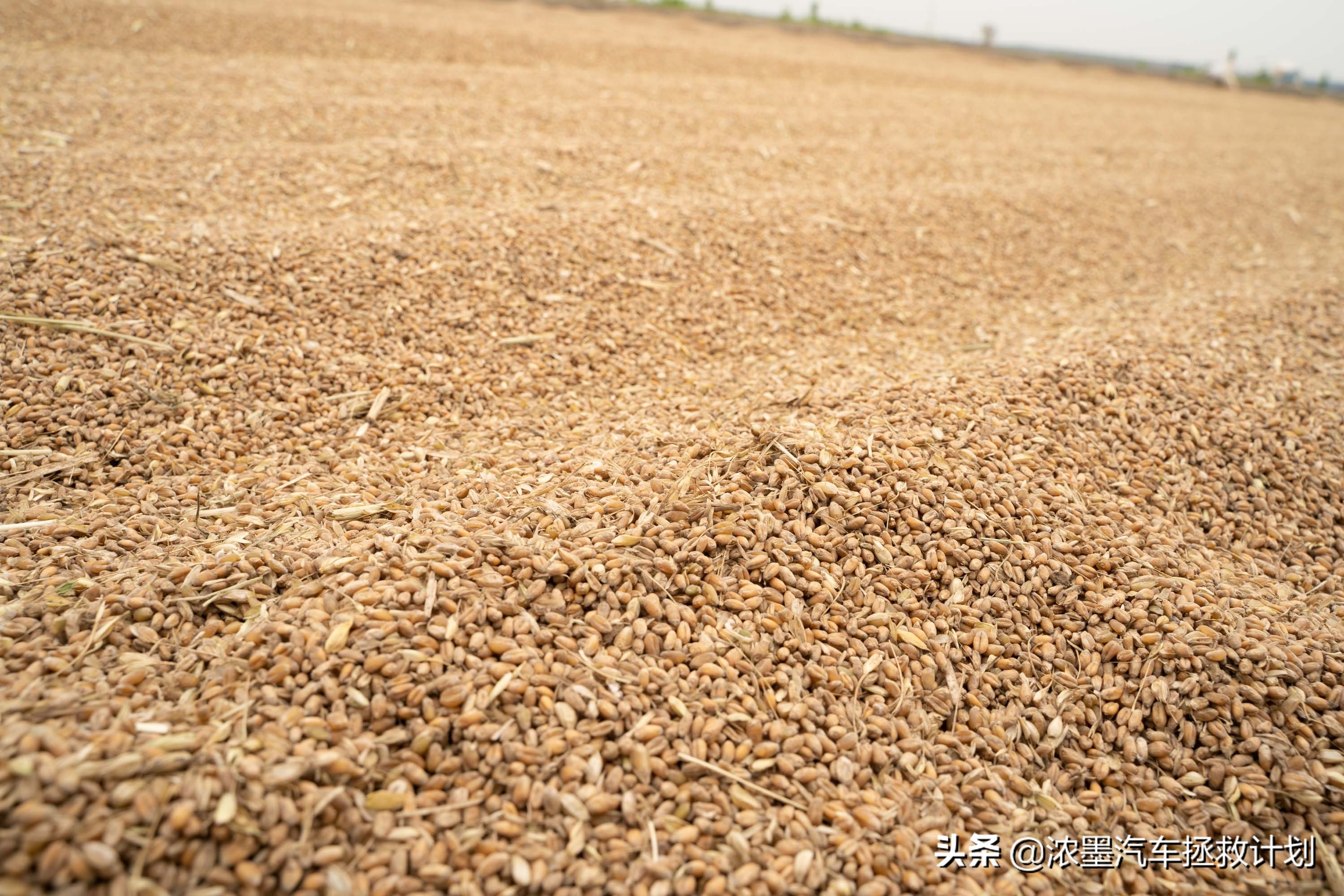 「妙手生花」重建一台战损级桑塔纳，带给它历经千般后的华丽重生