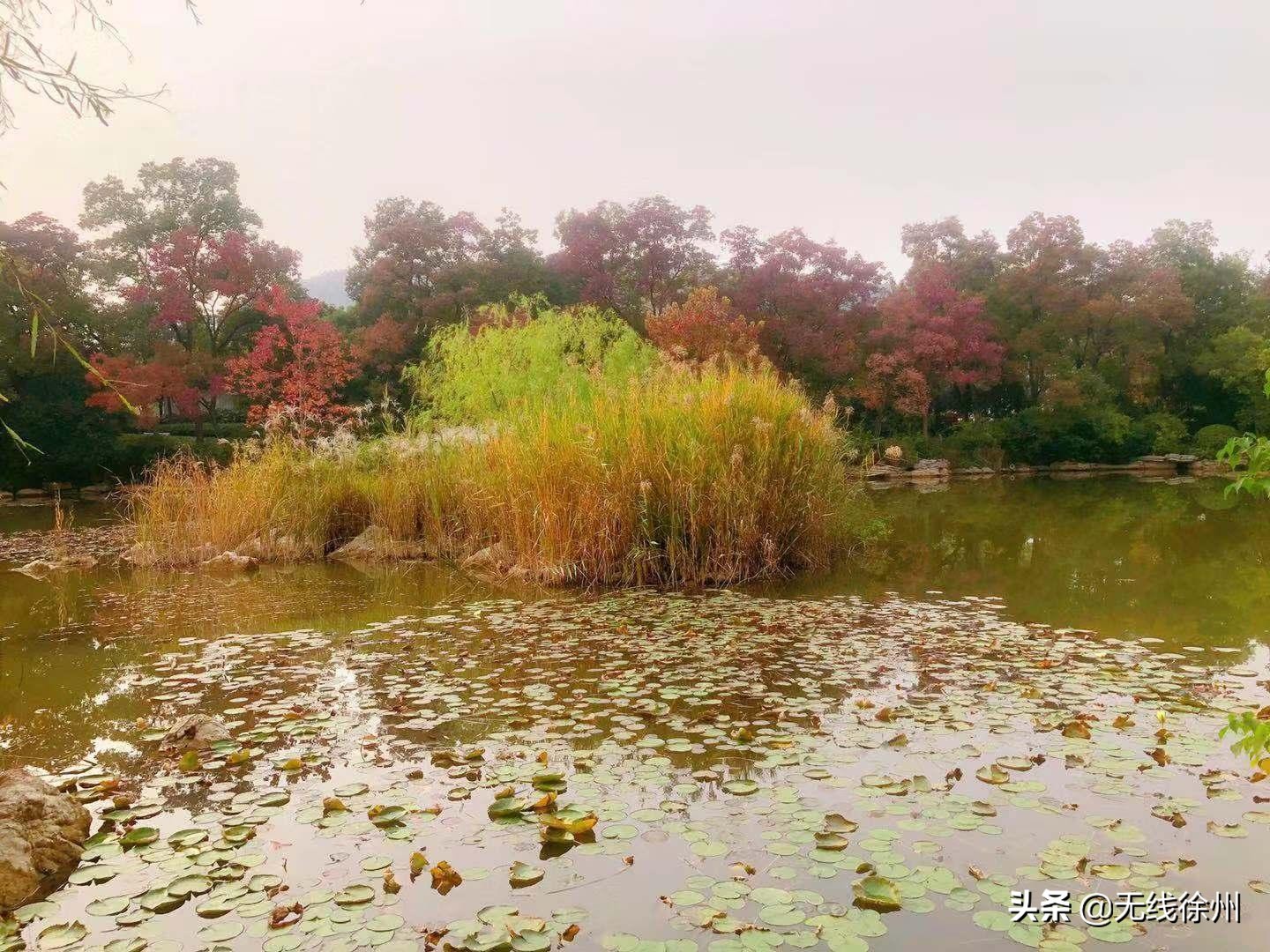 四色的徐州之秋，你最爱哪一款？