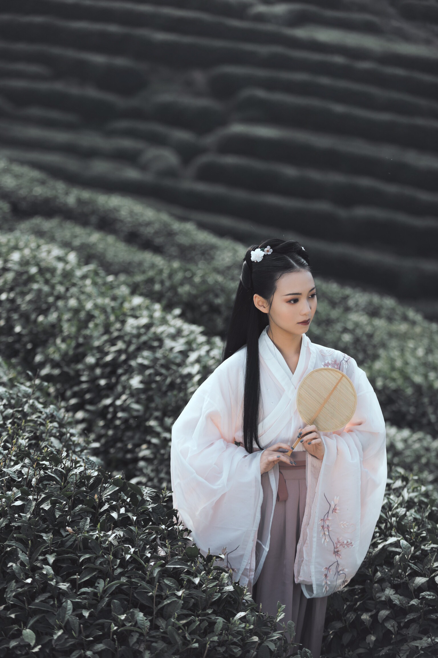 春日偶成程颢古诗速记,程颢春日偶成古诗视频