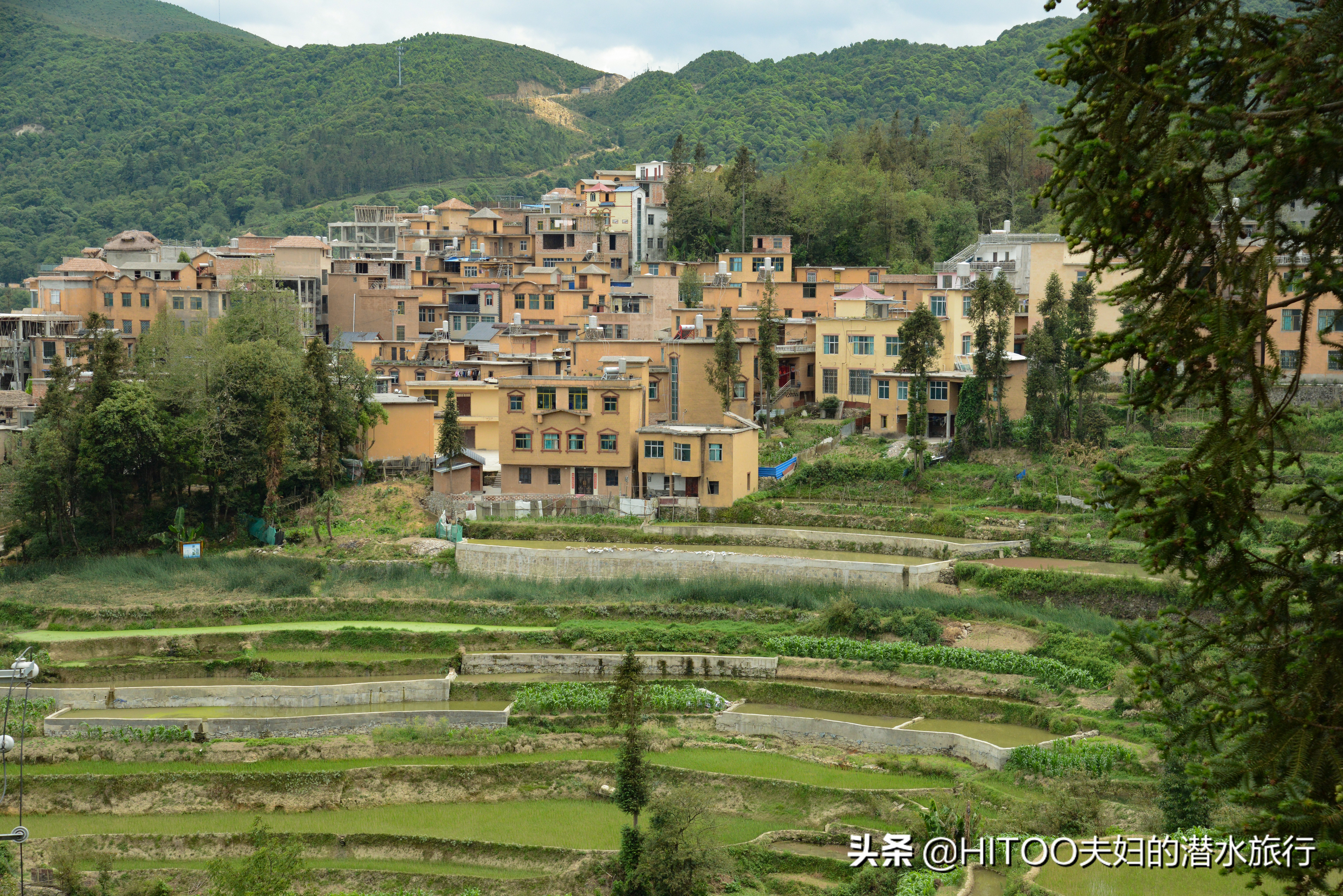 不花钱看元阳梯田自驾攻略,元阳梯田自驾游攻略