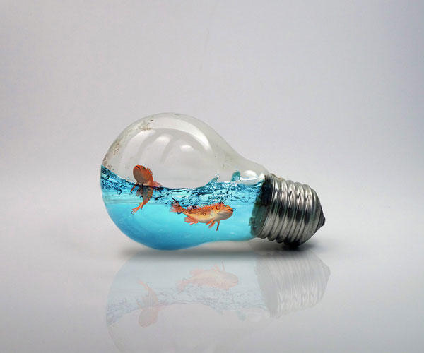 ps照片处理大全,ps如何做创意照片