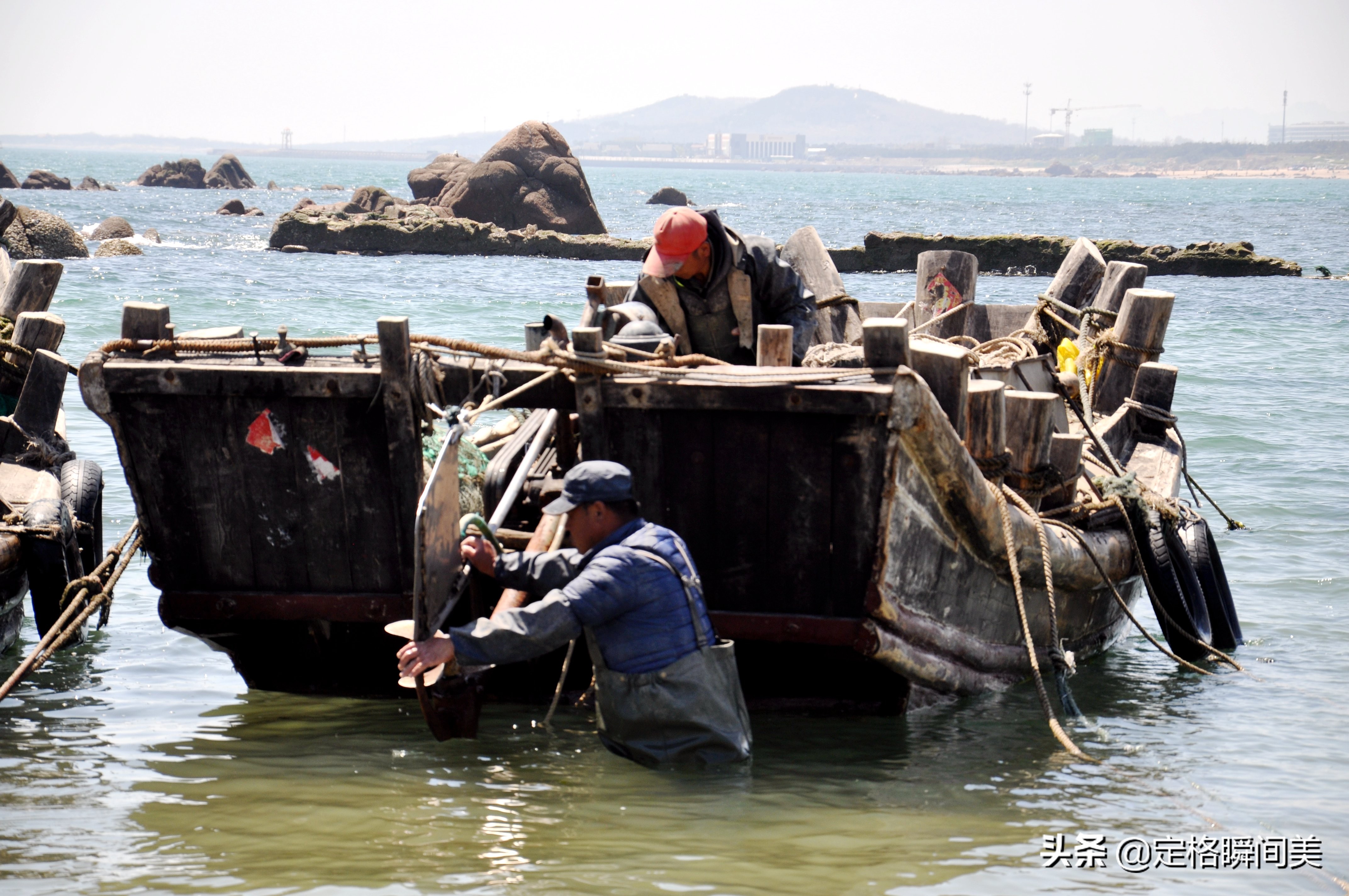 青岛纯野生海参深海海参冷冻即食,青岛纯野生海参