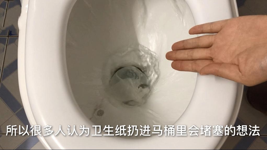 卫生纸丢马桶还是垃圾桶,卫生纸该扔进马桶还是纸篓