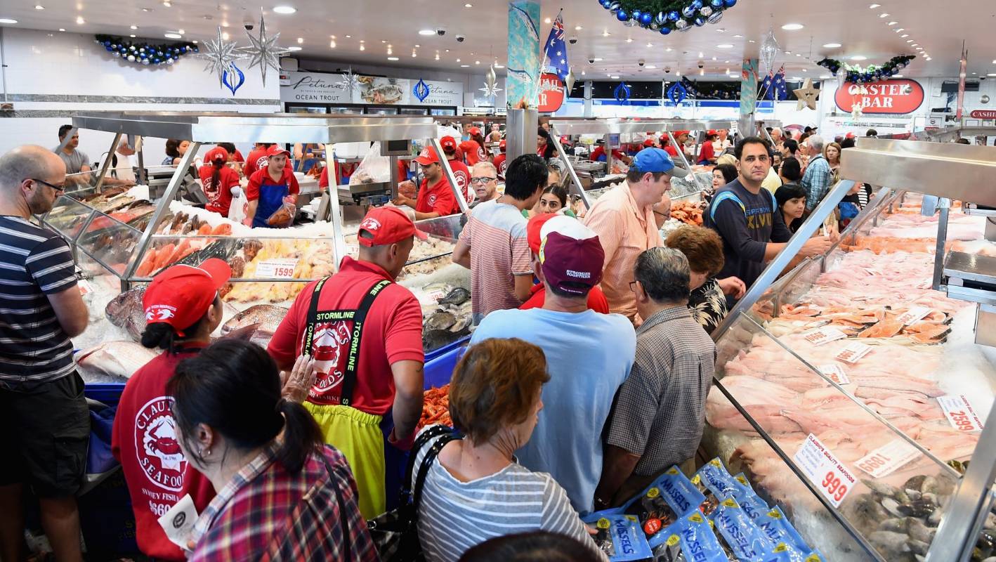 澳大利亚可以钓什么鱼,澳大利亚黄金海岸钓鱼