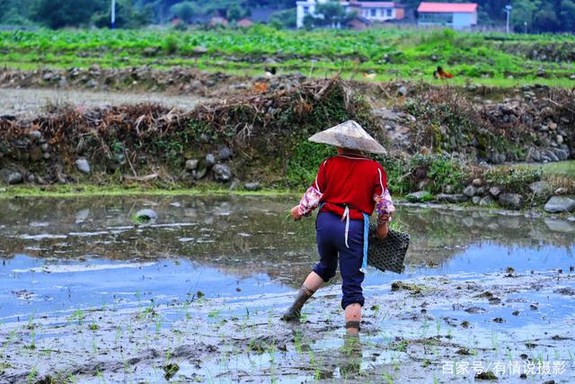 五一旅拍途中,我竟然在这山里当了“耕夫”