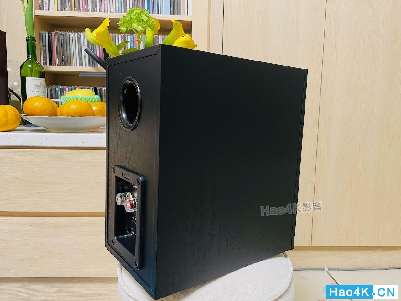 德国金榜cantonct2000音箱怎么样,德国金榜cantonk1音箱