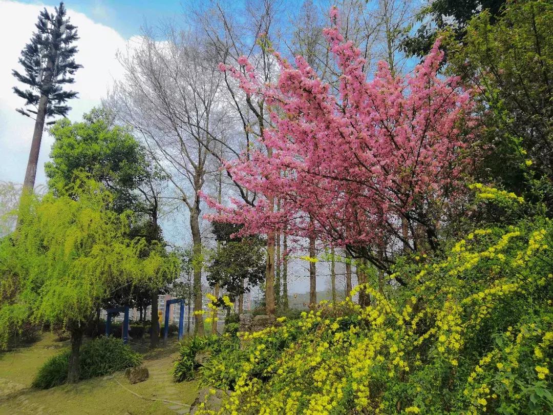 都江堰天府绿道骑行路线图,都江堰周边最美骑行路线