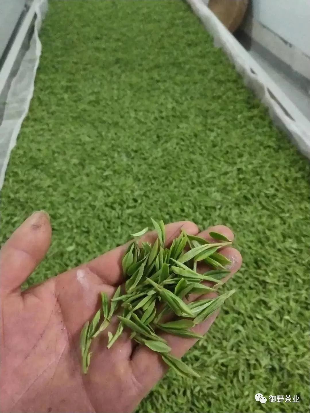 2018龙井新茶价格,御牌西湖龙井茶礼盒价格2020新茶