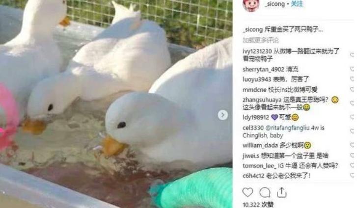 王思聪带女友买奢侈品,王思聪带神秘女朋友逛街