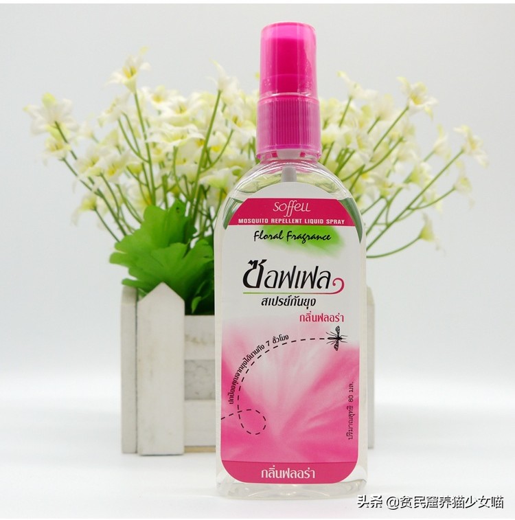 猫咪可以用什么驱蚊产品,夏天猫咪蚊香