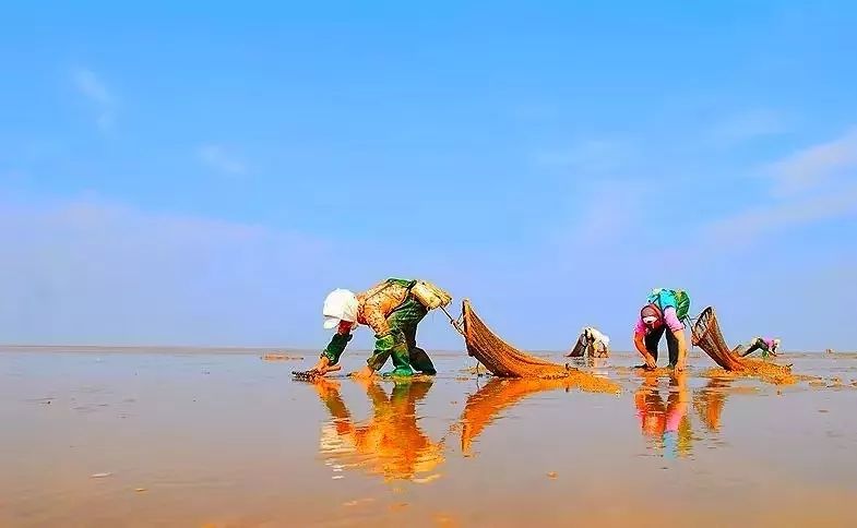 读辽宁历史感悟,盘锦旅游景点推荐二界沟