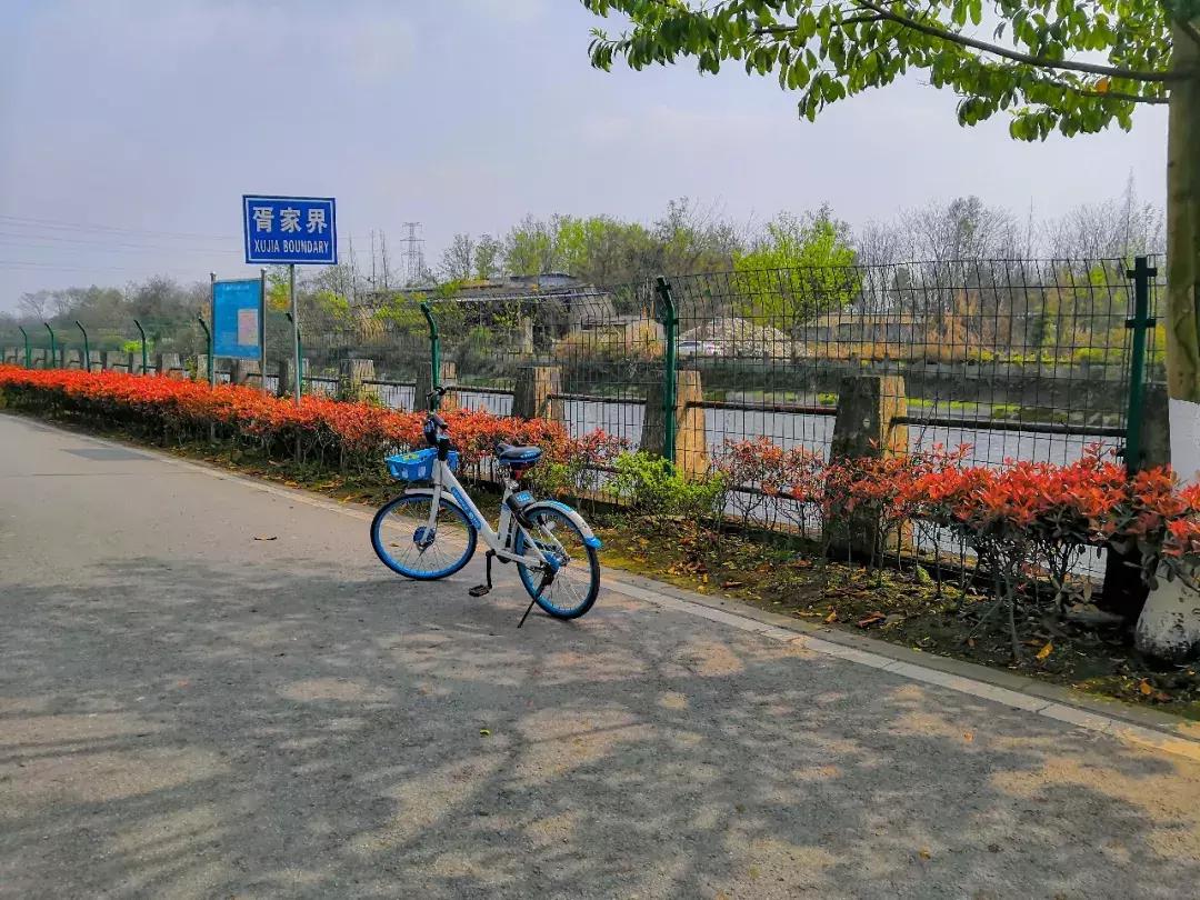 都江堰天府绿道骑行路线图,都江堰周边最美骑行路线