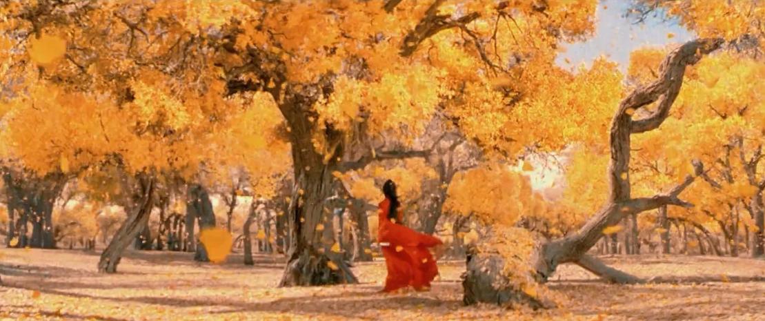 百亿影帝黄渤完整版视频,吴京影帝黄渤