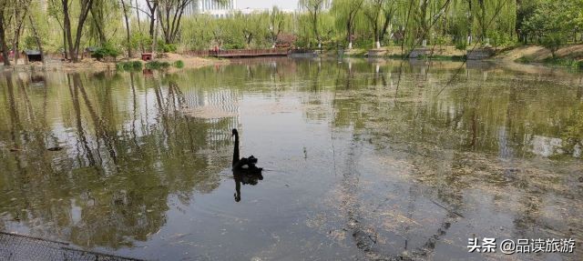 开了动物园,开了个动物园