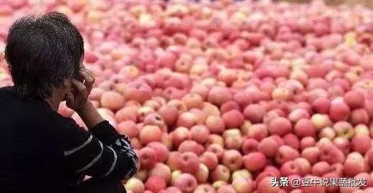 2019年水果滞销,2019年今年哪些蔬菜滞销