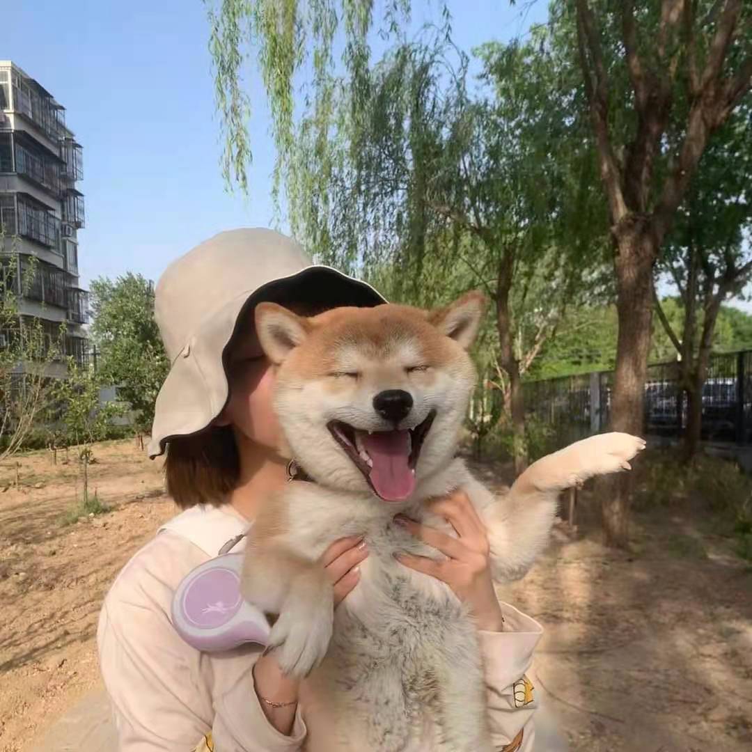 怀疑自己买到假柴了？教你如何辨别真假